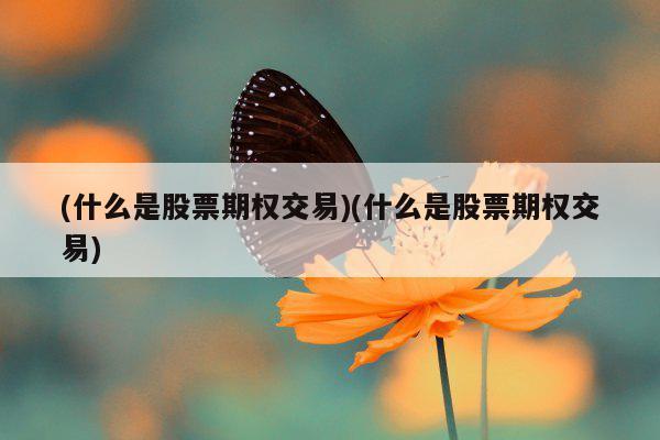 (什么是股票期权交易)(什么是股票期权交易)
