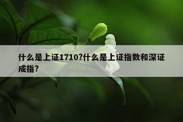 什么是上证1710?什么是上证指数和深证成指?