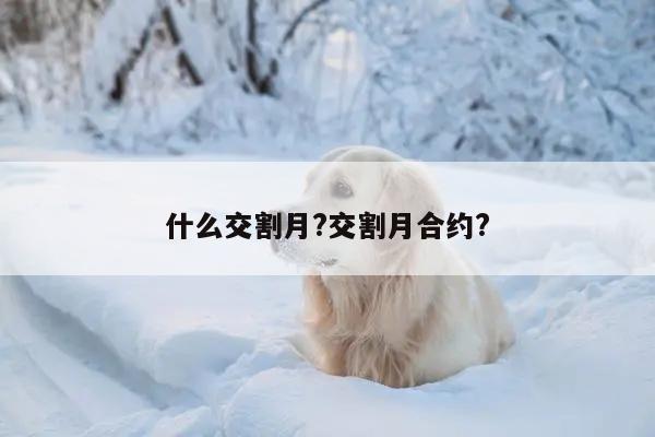 什么交割月?交割月合约?