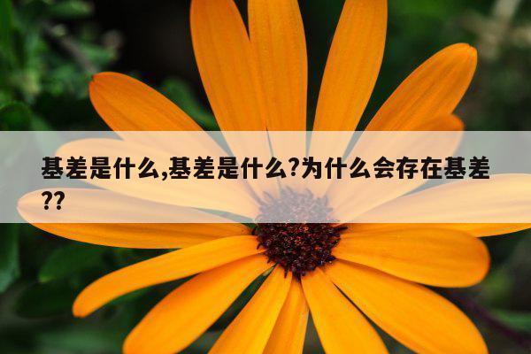 基差是什么,基差是什么?为什么会存在基差??