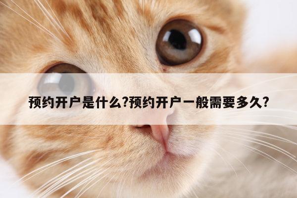 预约开户是什么?预约开户一般需要多久?