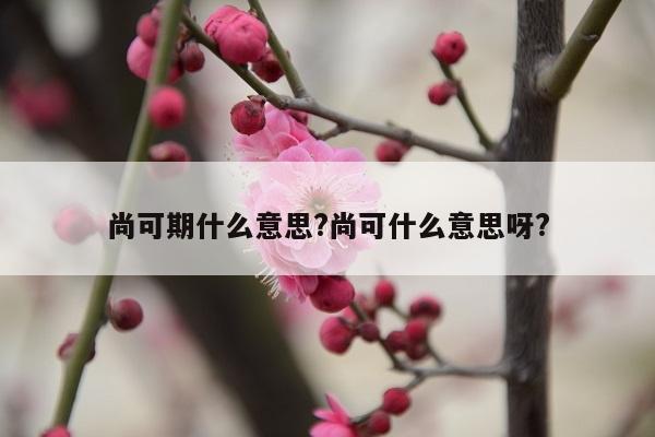尚可期什么意思?尚可什么意思呀?