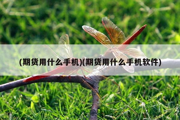 (期货用什么手机)(期货用什么手机软件)