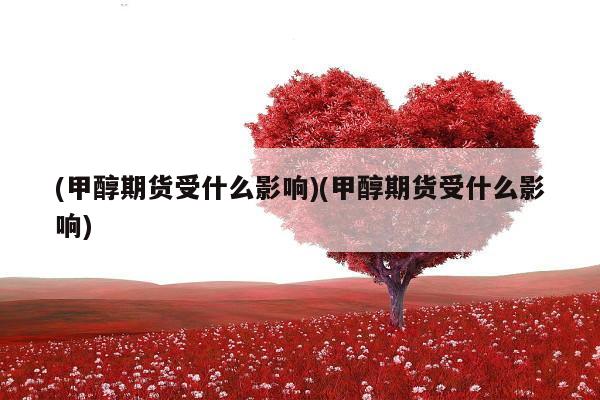 (甲醇期货受什么影响)(甲醇期货受什么影响)