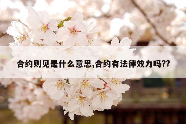 合约则见是什么意思,合约有法律效力吗??
